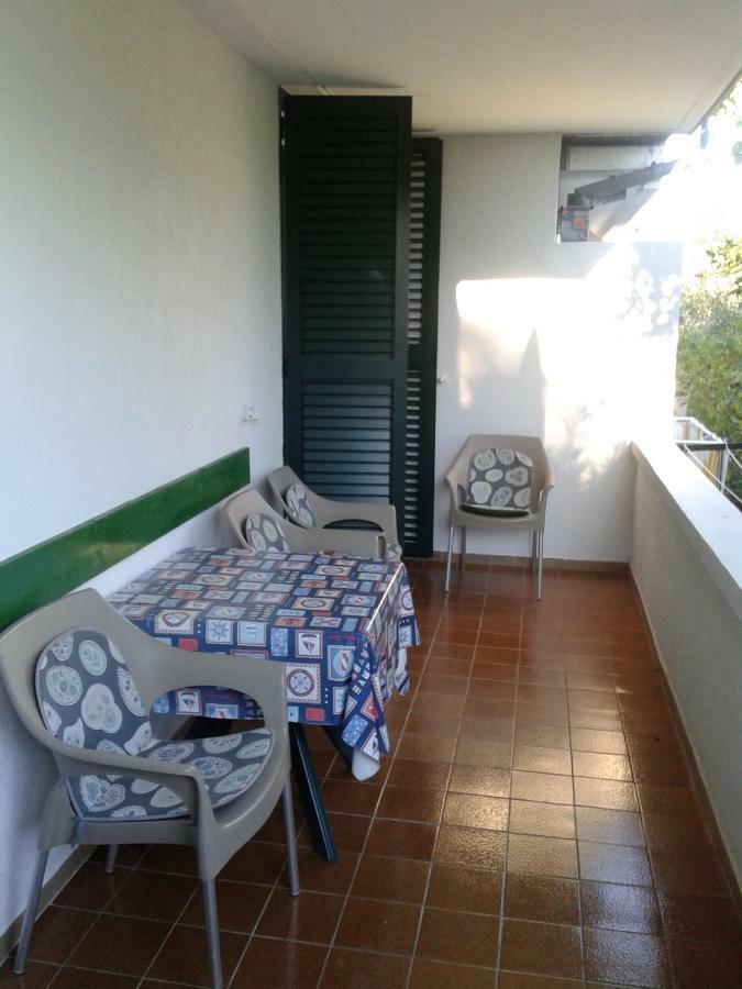 Apartment Milka Petrčane Zewnętrze zdjęcie