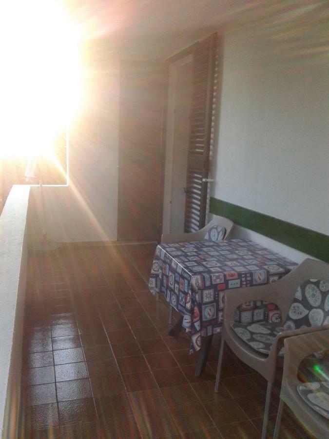 Apartment Milka Petrčane Zewnętrze zdjęcie